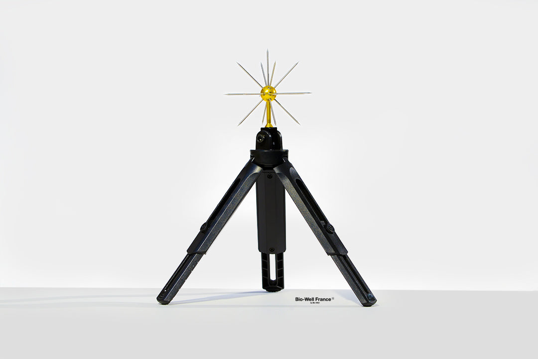 Sputnik